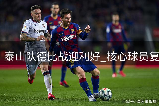 泰山队德比战迎利好 核心球员复出备战上海双雄